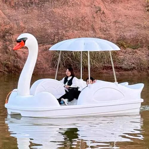 4 Person Swan Pedal Boats  for Sale