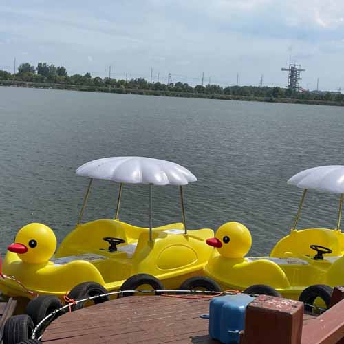 Duck Pedal Boat​ for Sale