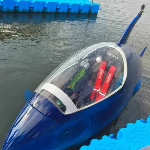 Seabreacher for Sale